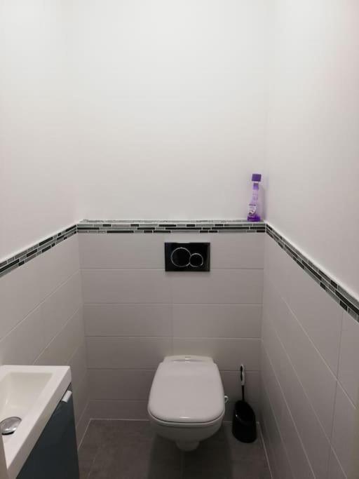 Bel Appartement Coeur De Grenoble Tout Equipe ภายนอก รูปภาพ